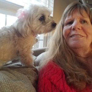 Meet your Posher, Barbara